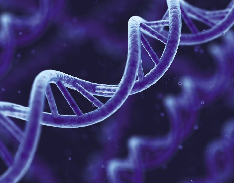Halal & GMO Testing