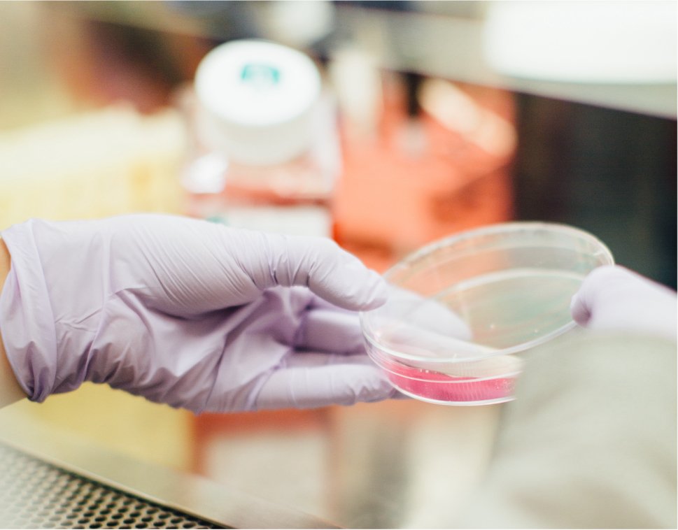 Biological Monitoring